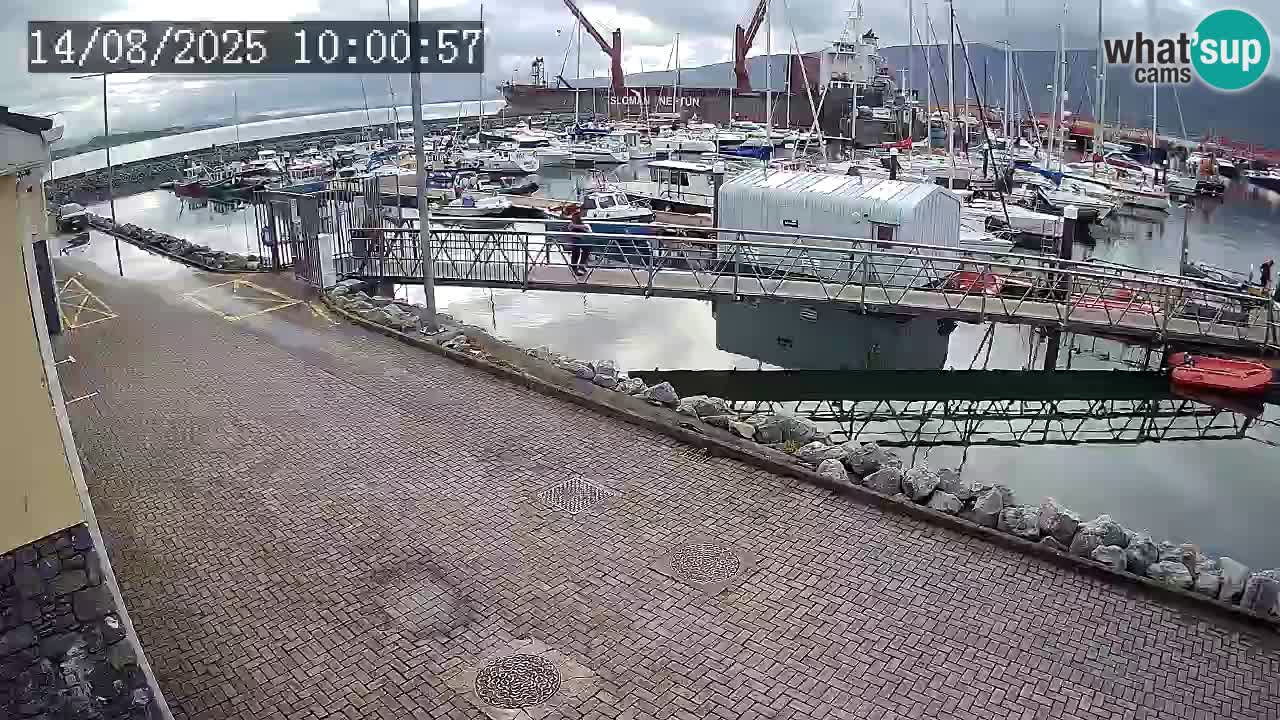 Fenit Marina livecam