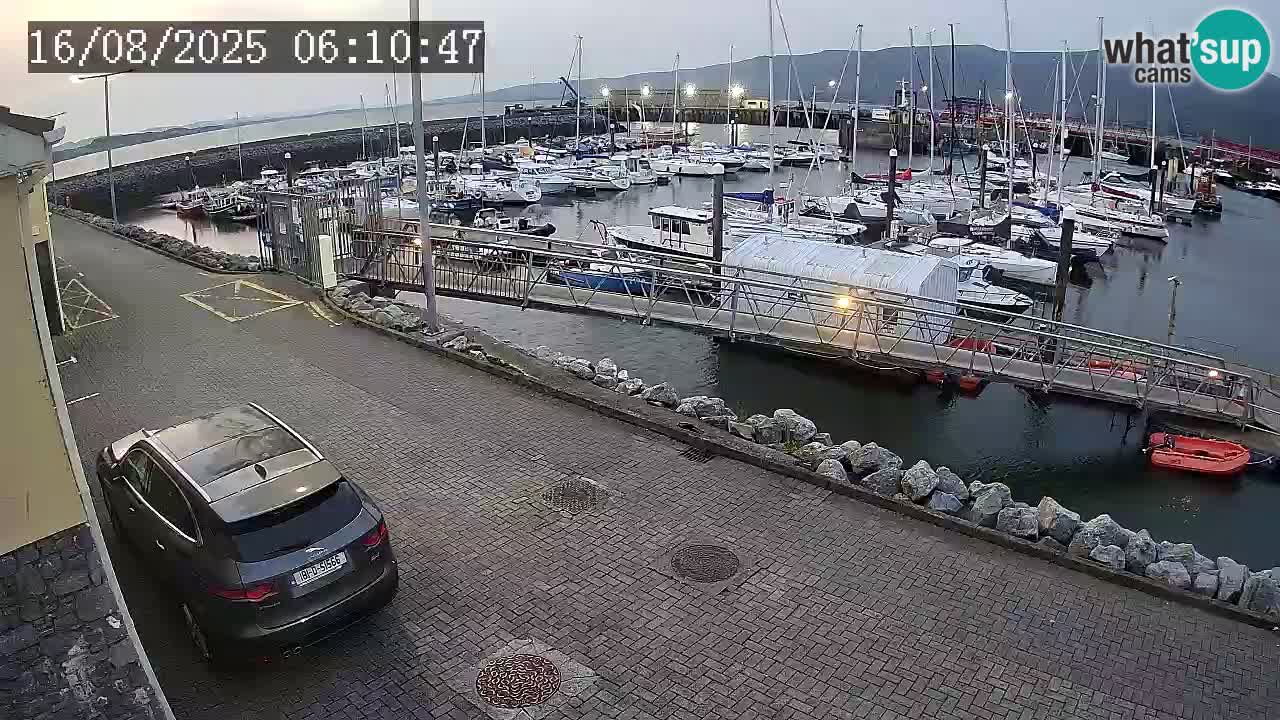 Fenit Marina spletna kamera