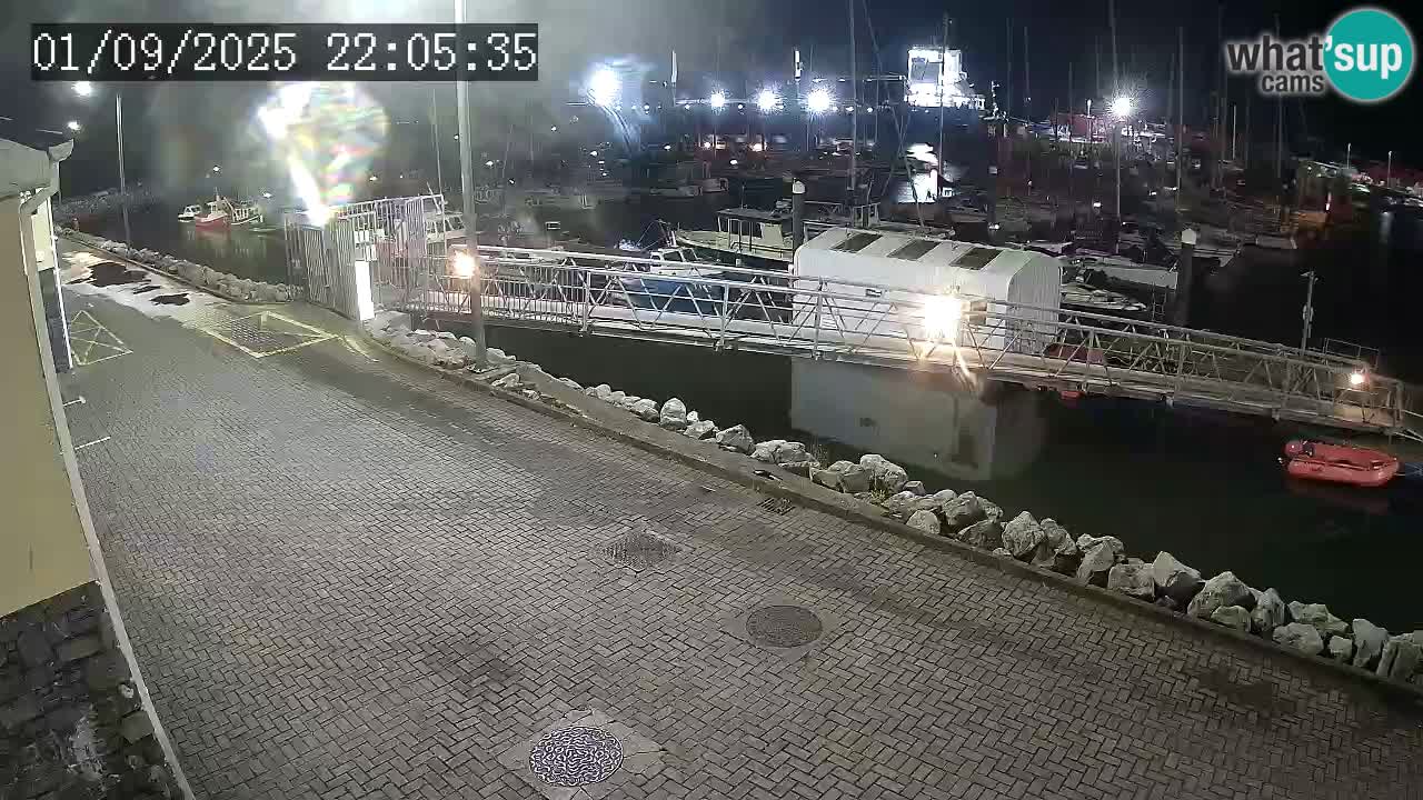 Fenit Marina livecam