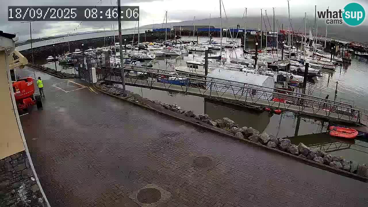 Fenit Marina livecam