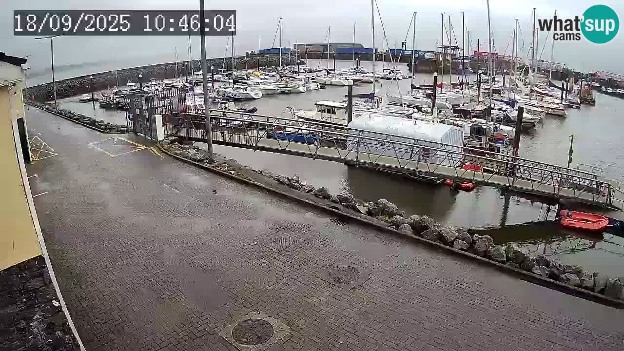 Fenit Marina camera en vivo