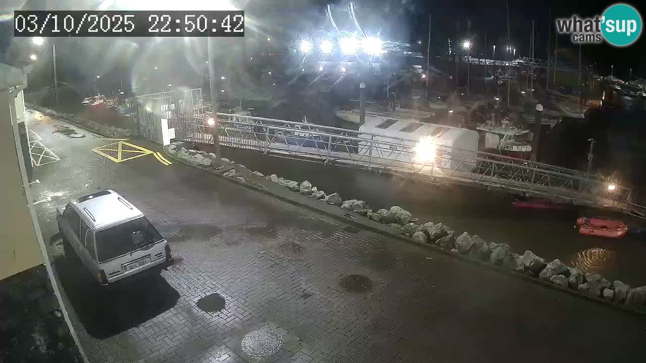 Fenit Marina livecam