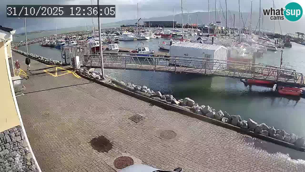 Fenit Marina livecam
