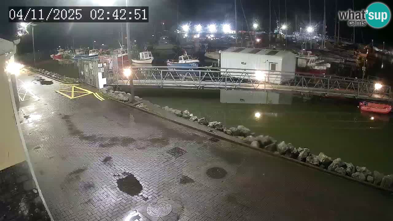 Fenit Marina webcam