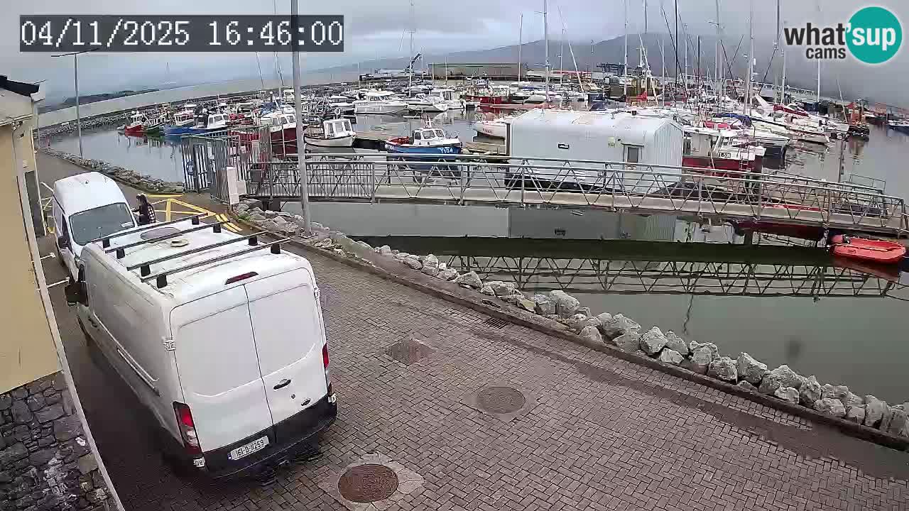 Fenit Marina webcam