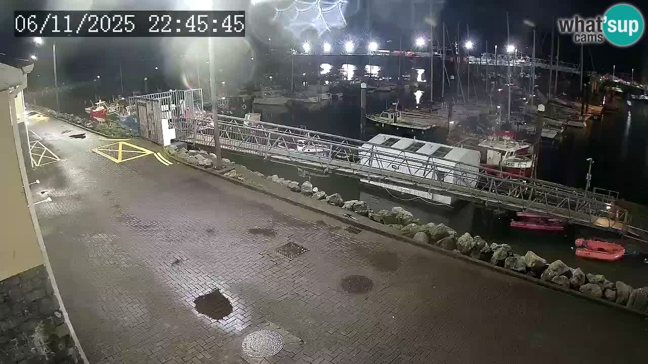 Fenit Marina spletna kamera