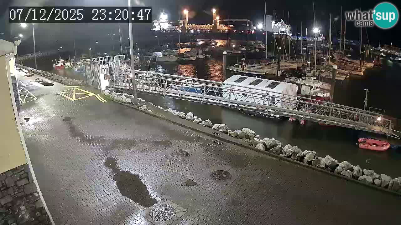 Fenit Marina spletna kamera