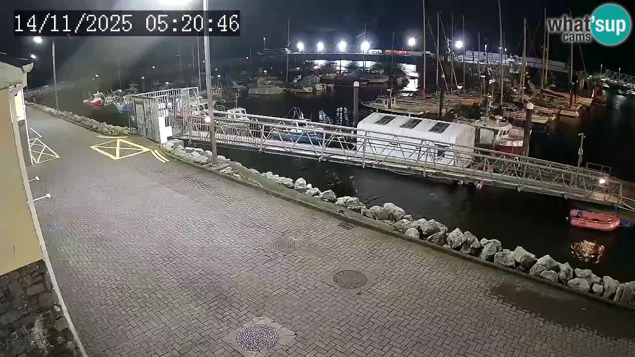 Fenit Marina livecam