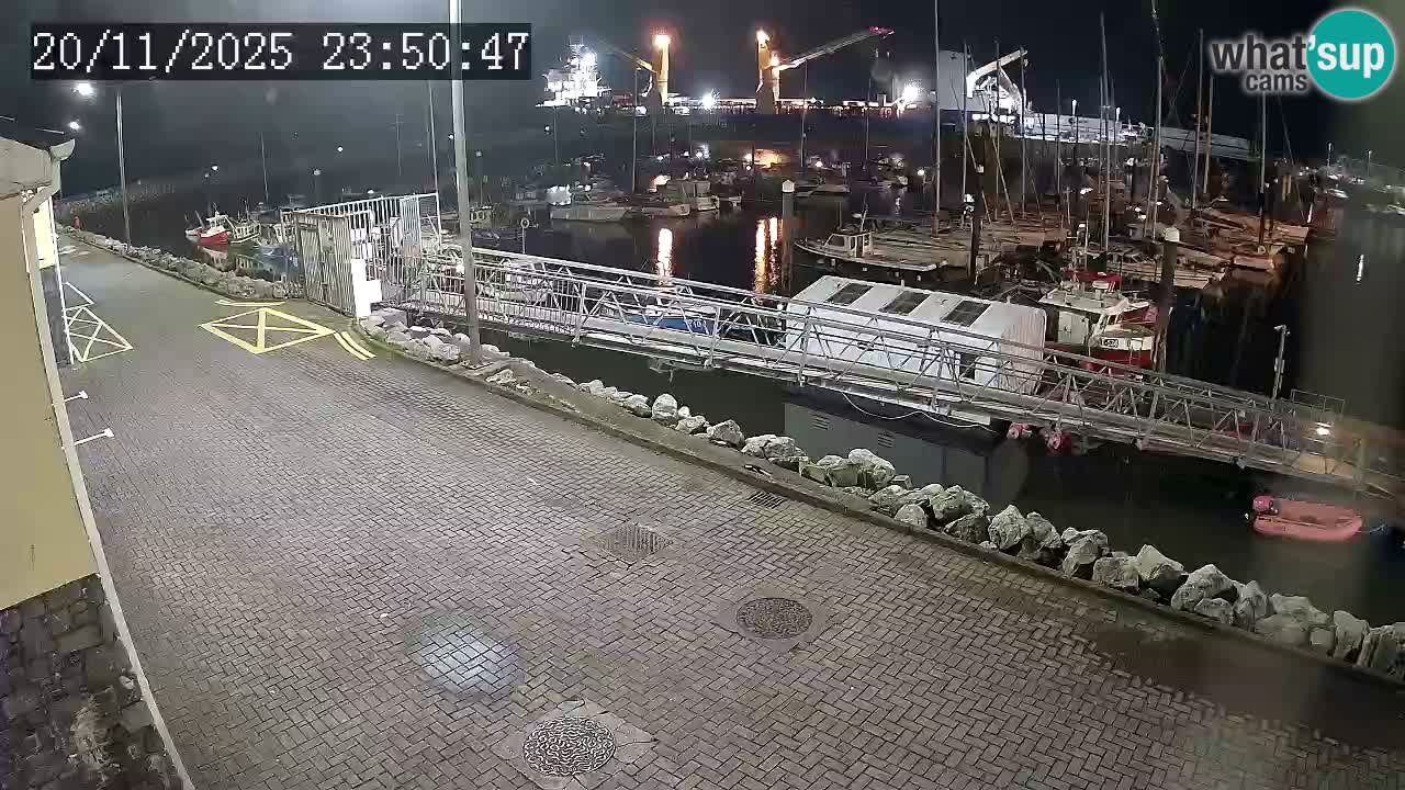 Fenit Marina spletna kamera