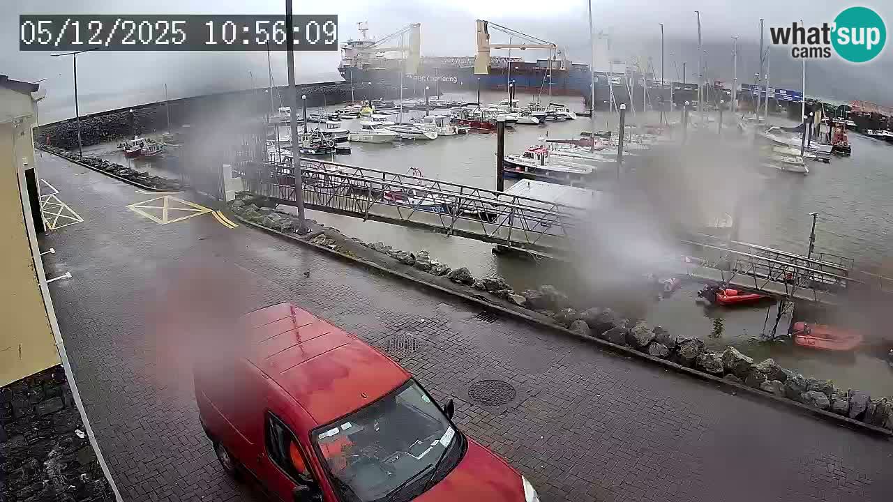 Fenit Marina webcam