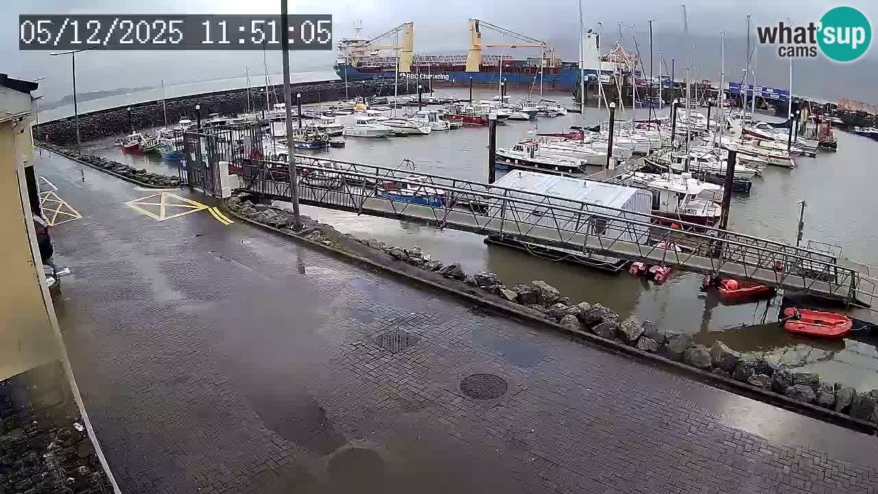 Fenit Marina livecam