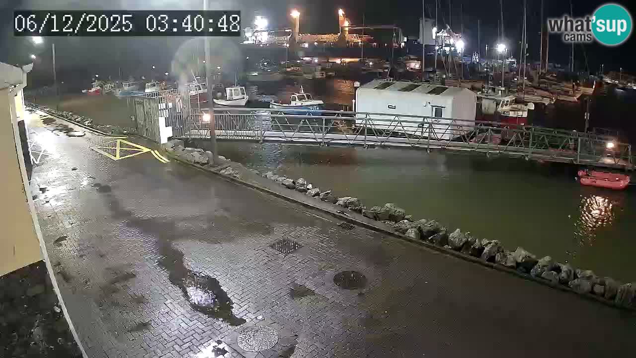 Fenit Marina spletna kamera