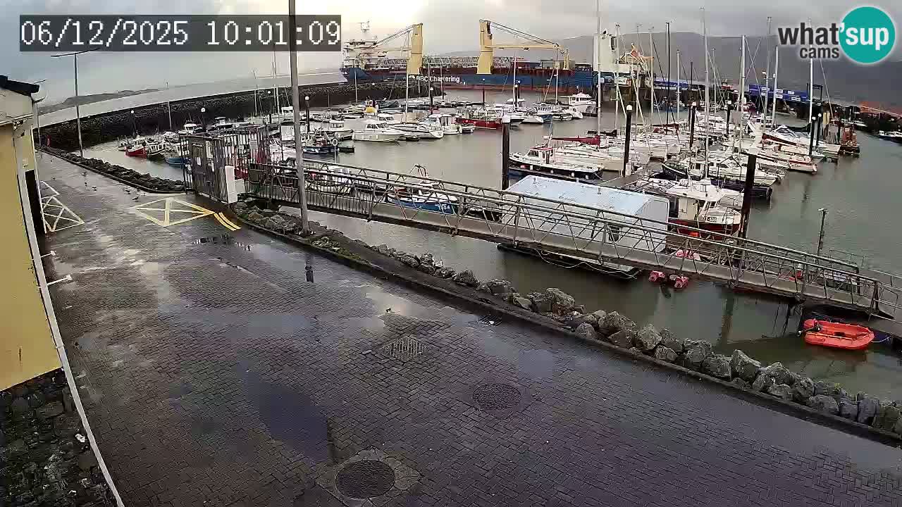 Fenit Marina livecam