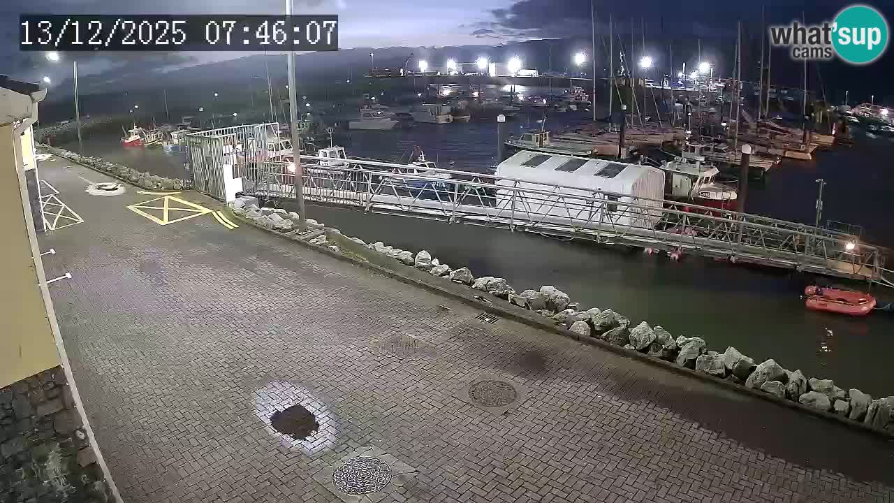 Fenit Marina livecam
