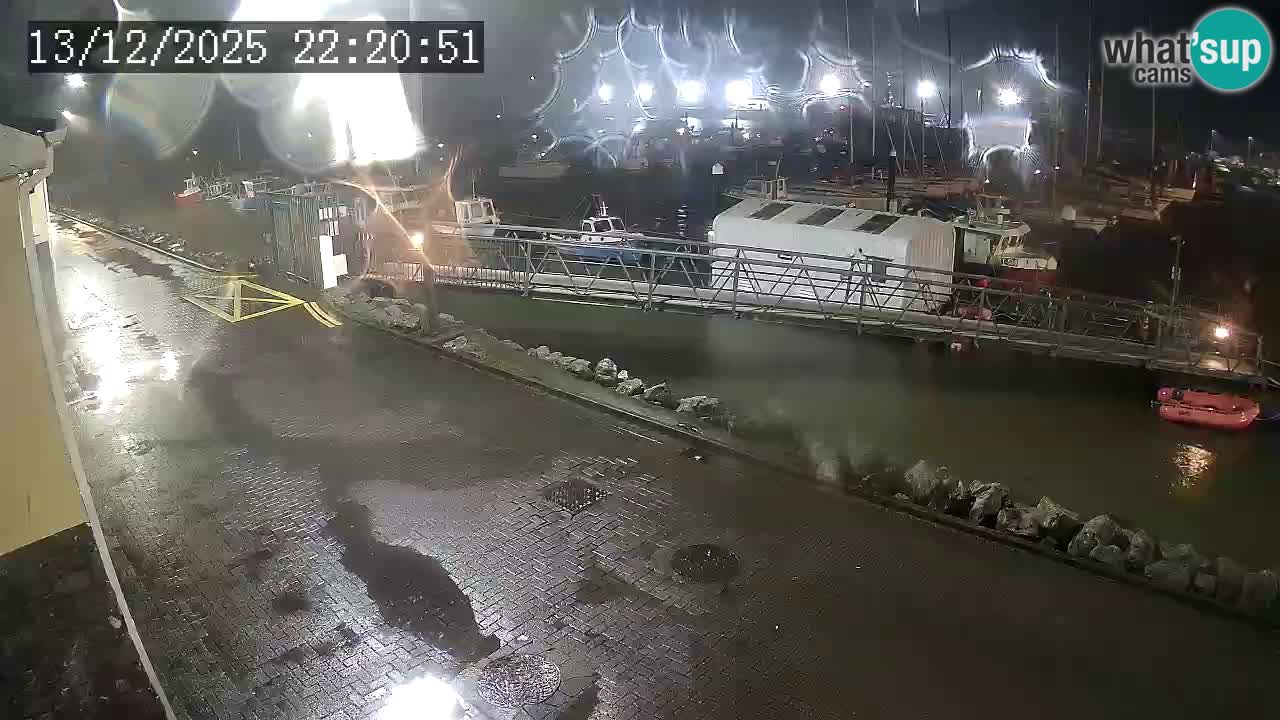 Fenit Marina livecam