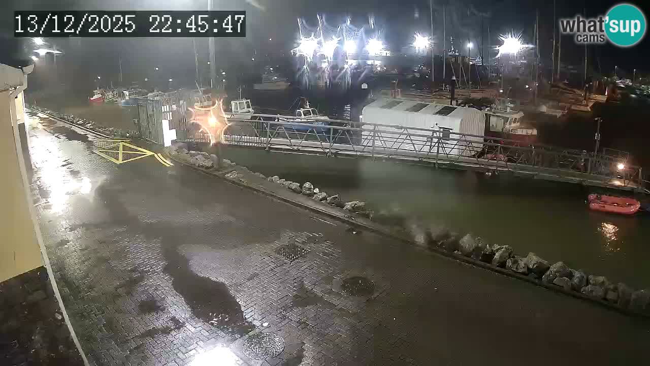 Fenit Marina webcam