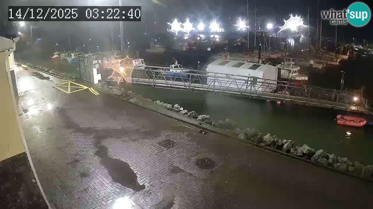 Fenit Marina spletna kamera