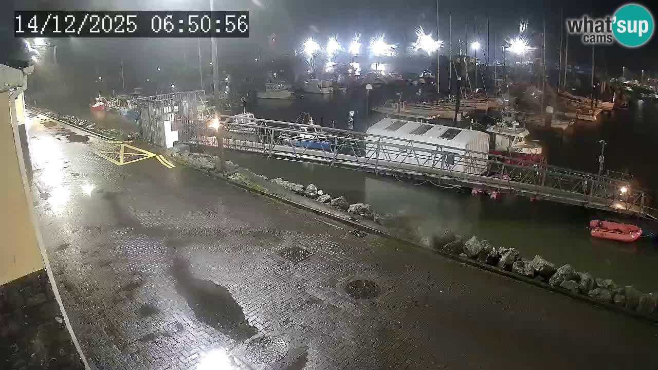 Fenit Marina spletna kamera