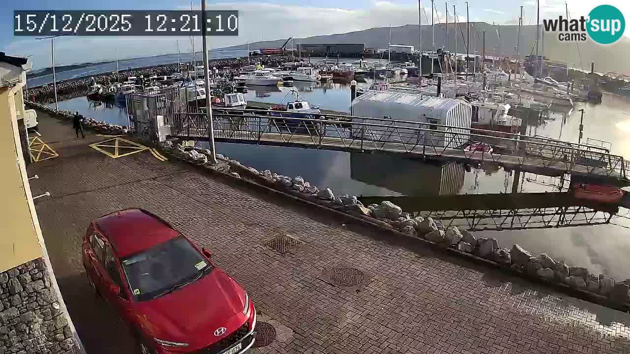 Fenit Marina webcam