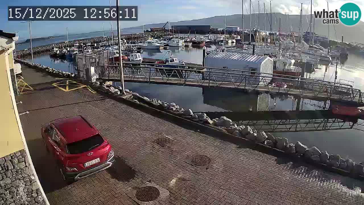 Fenit Marina live webcam