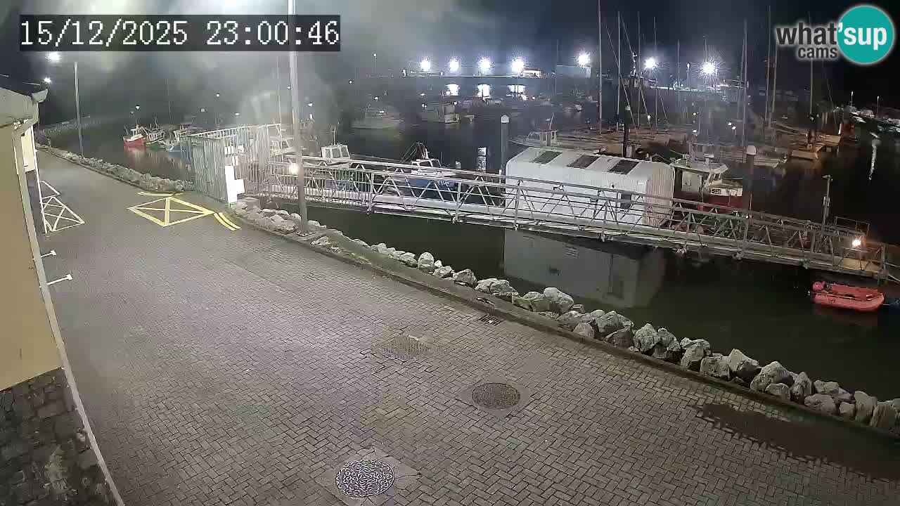 Fenit Marina web kamera