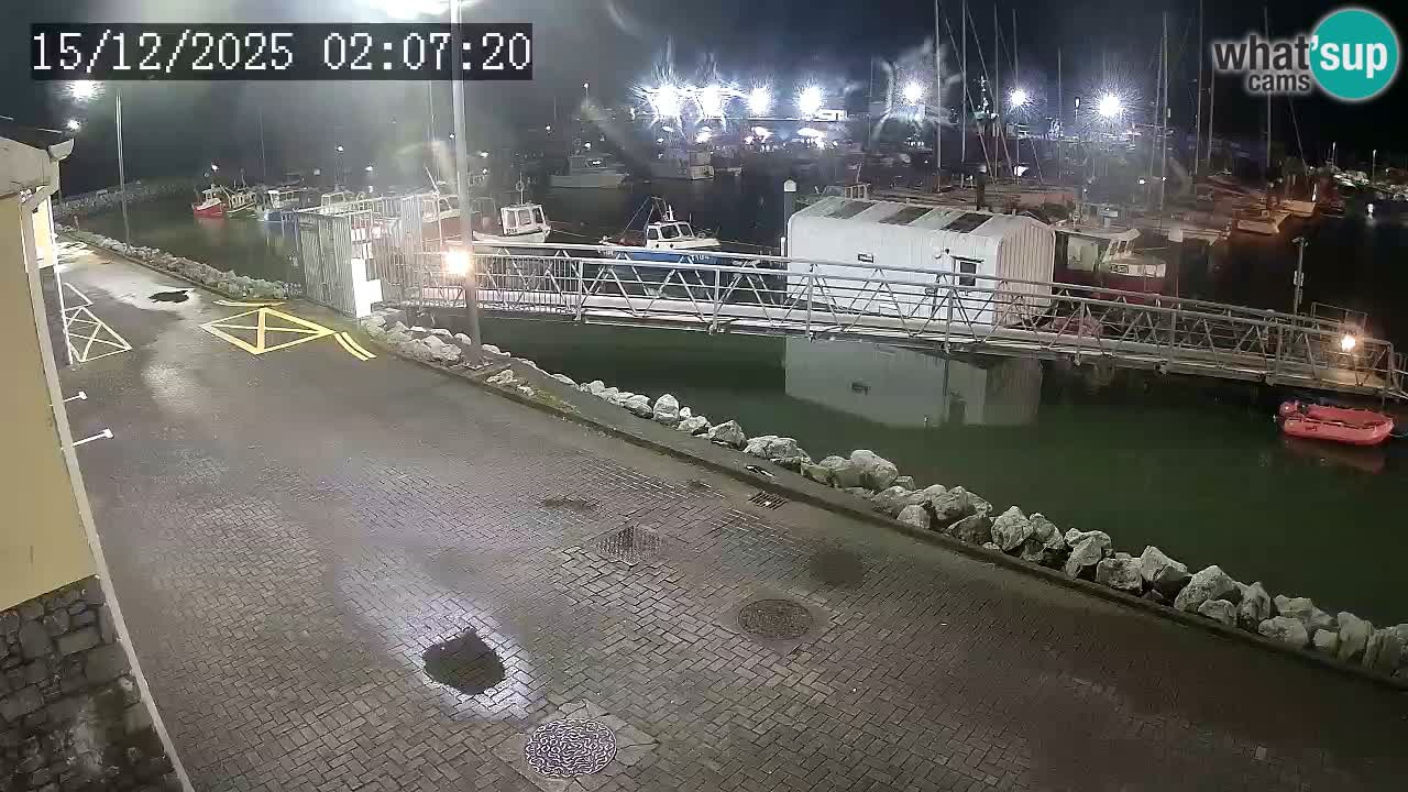 Fenit Marina webcam
