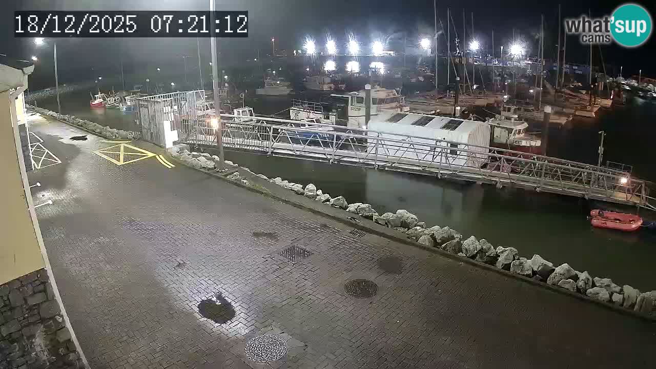 Fenit Marina livecam