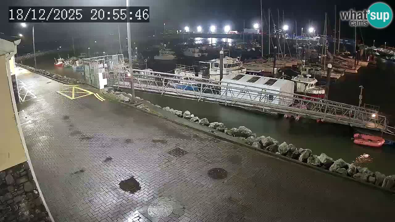 Fenit Marina webcam