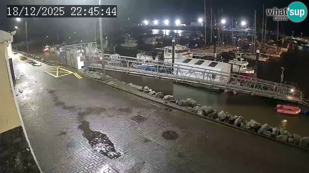 Fenit Marina webcam