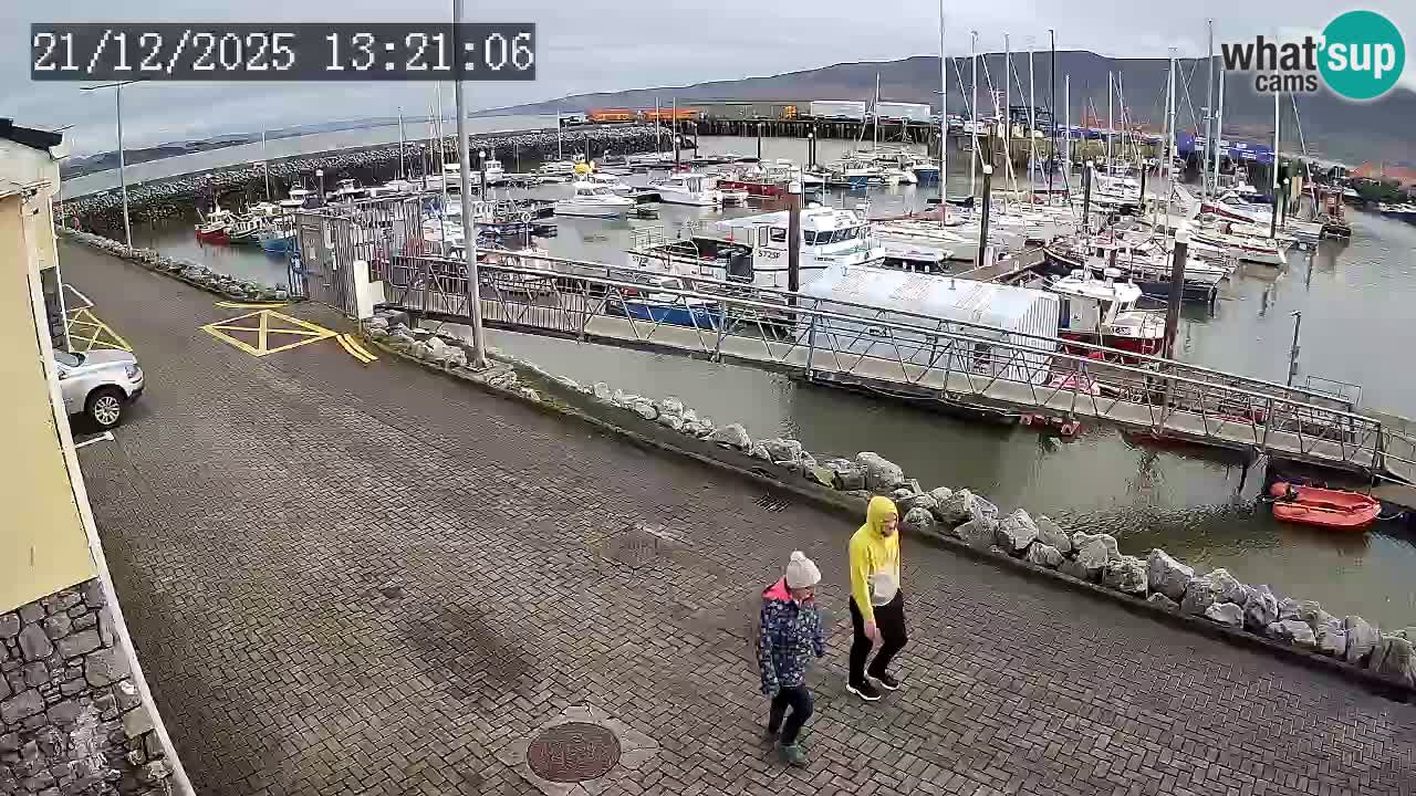 Fenit Marina webcam
