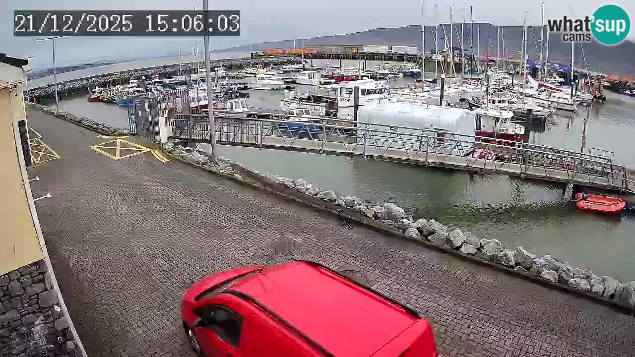 Fenit Marina webcam