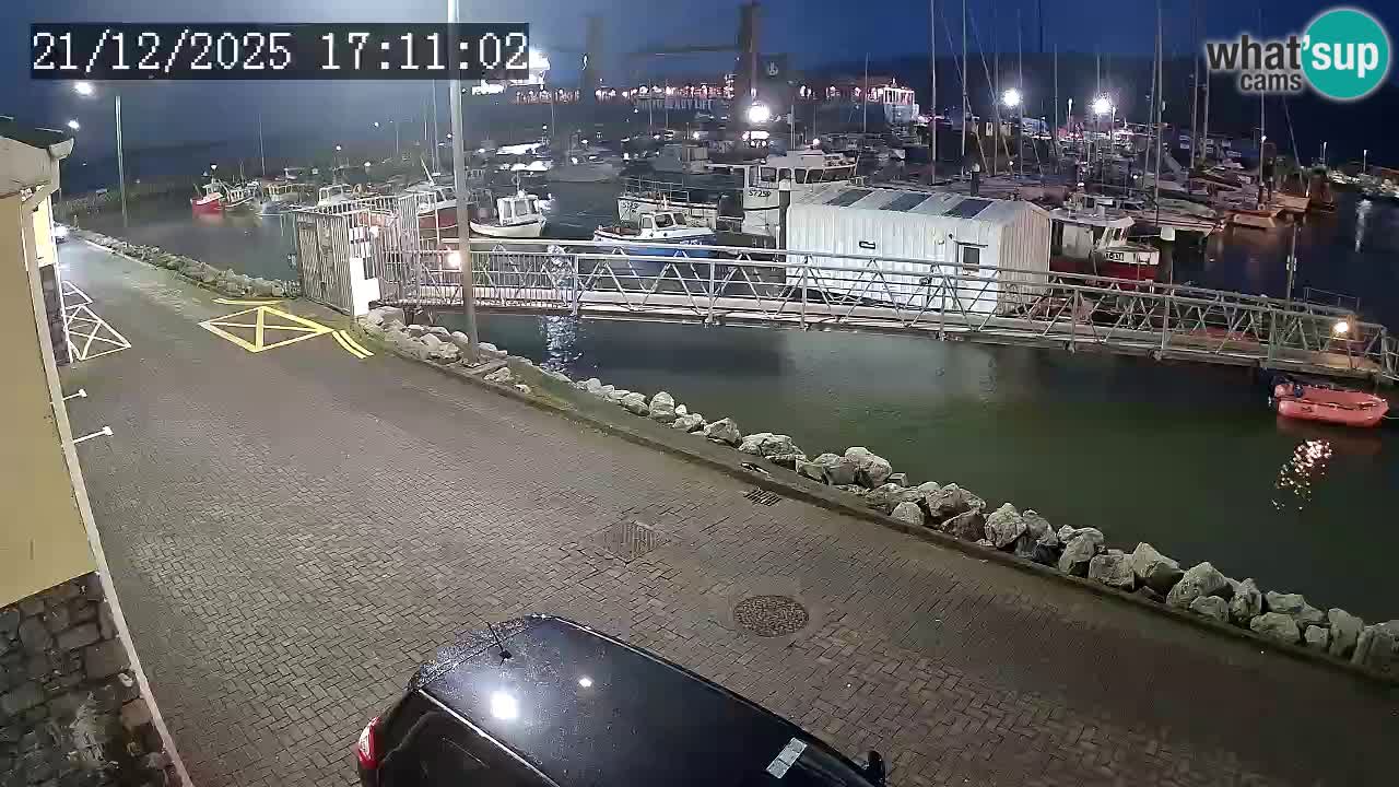 Fenit Marina spletna kamera