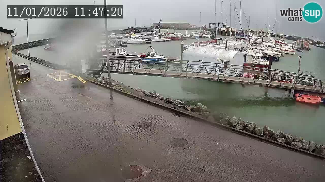 Fenit Marina livecam