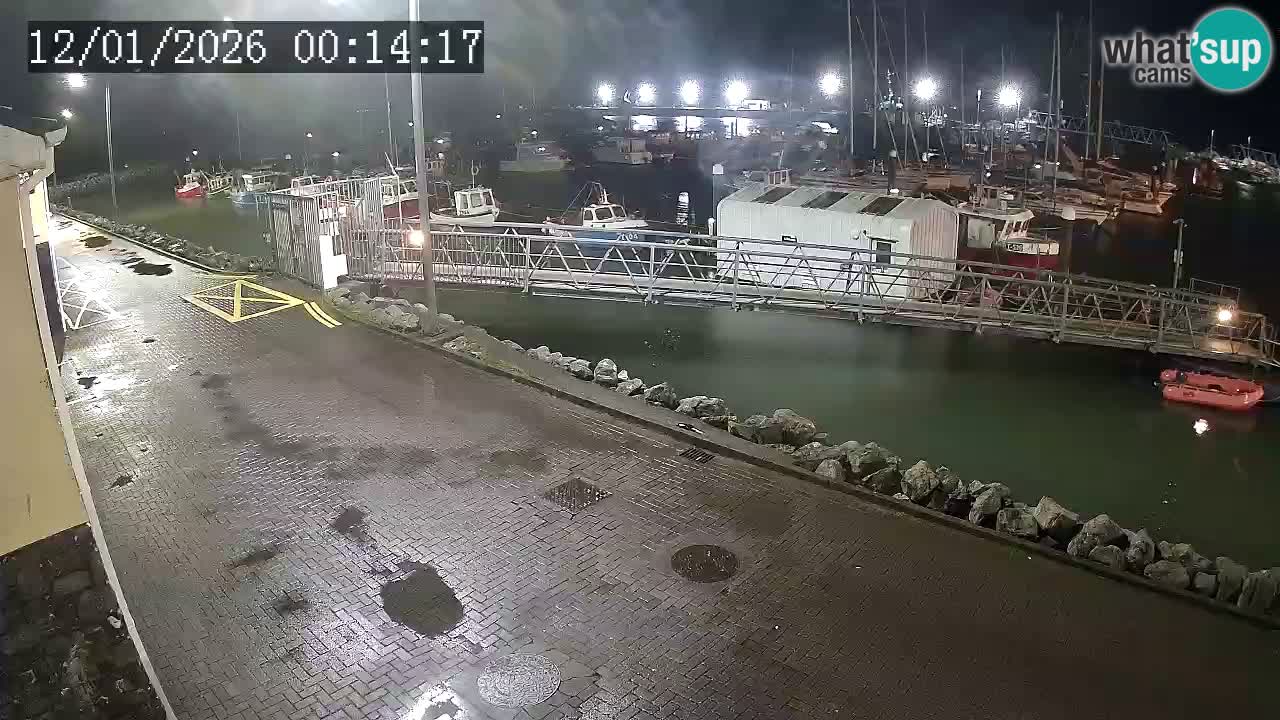 Fenit Marina live webcam