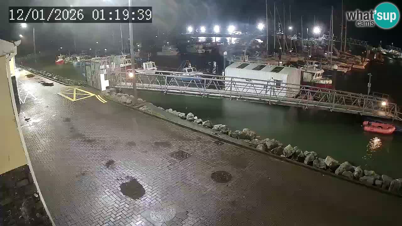 Fenit Marina live webcam