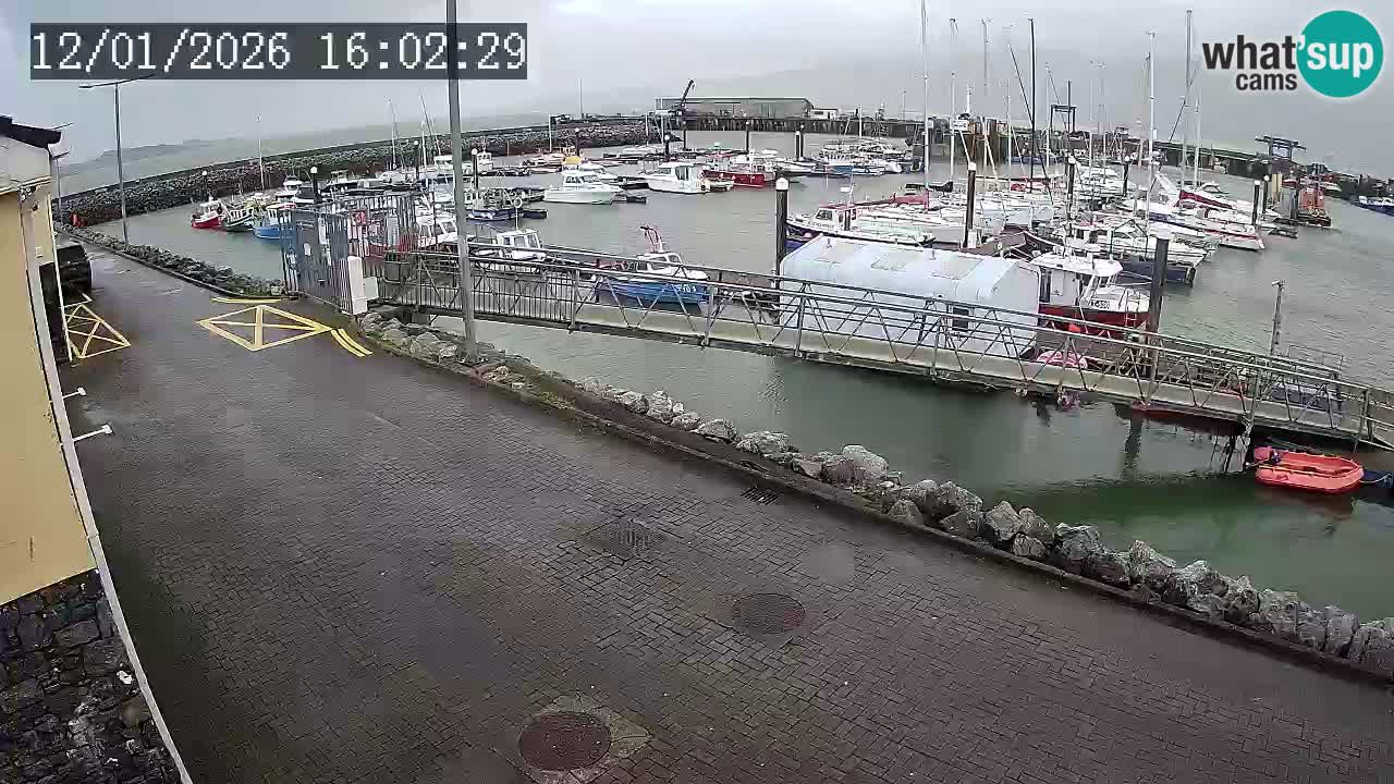 Fenit Marina camera en vivo