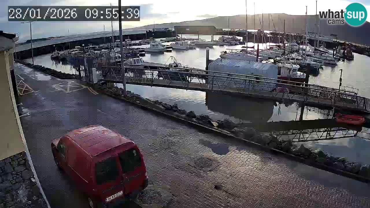 Fenit Marina livecam