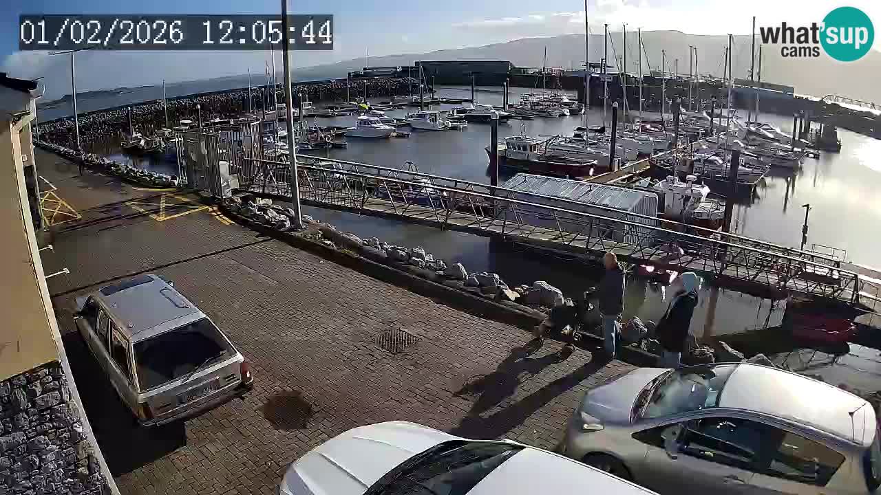 Fenit Marina webcam