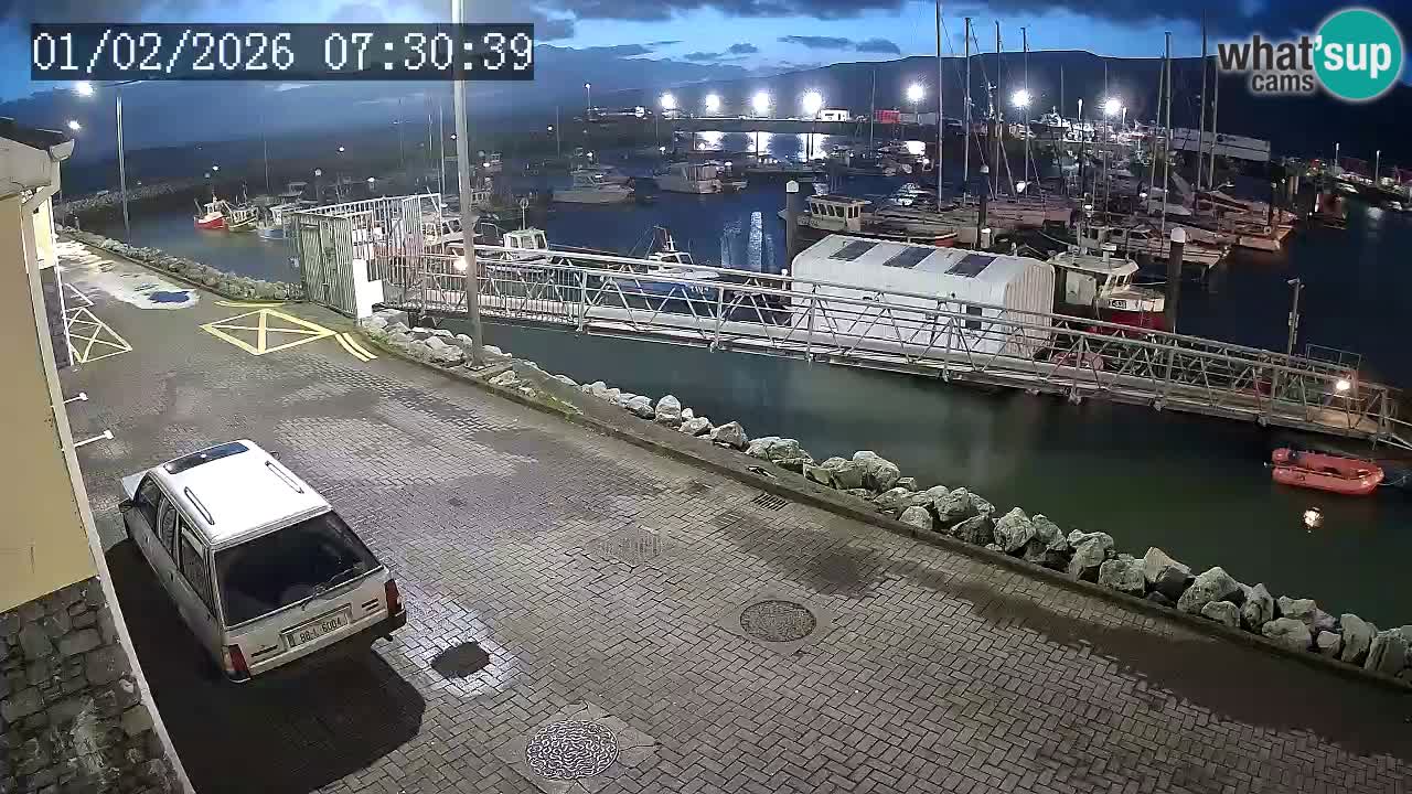 Fenit Marina webcam
