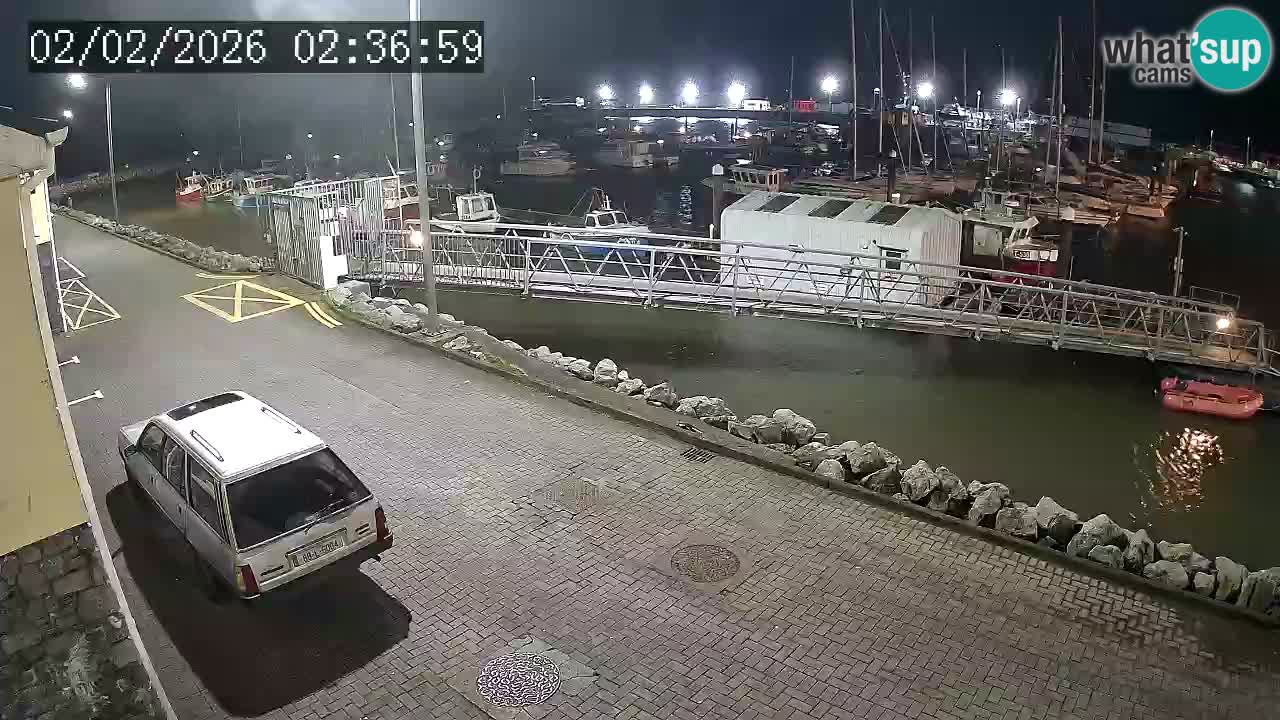 Fenit Marina livecam
