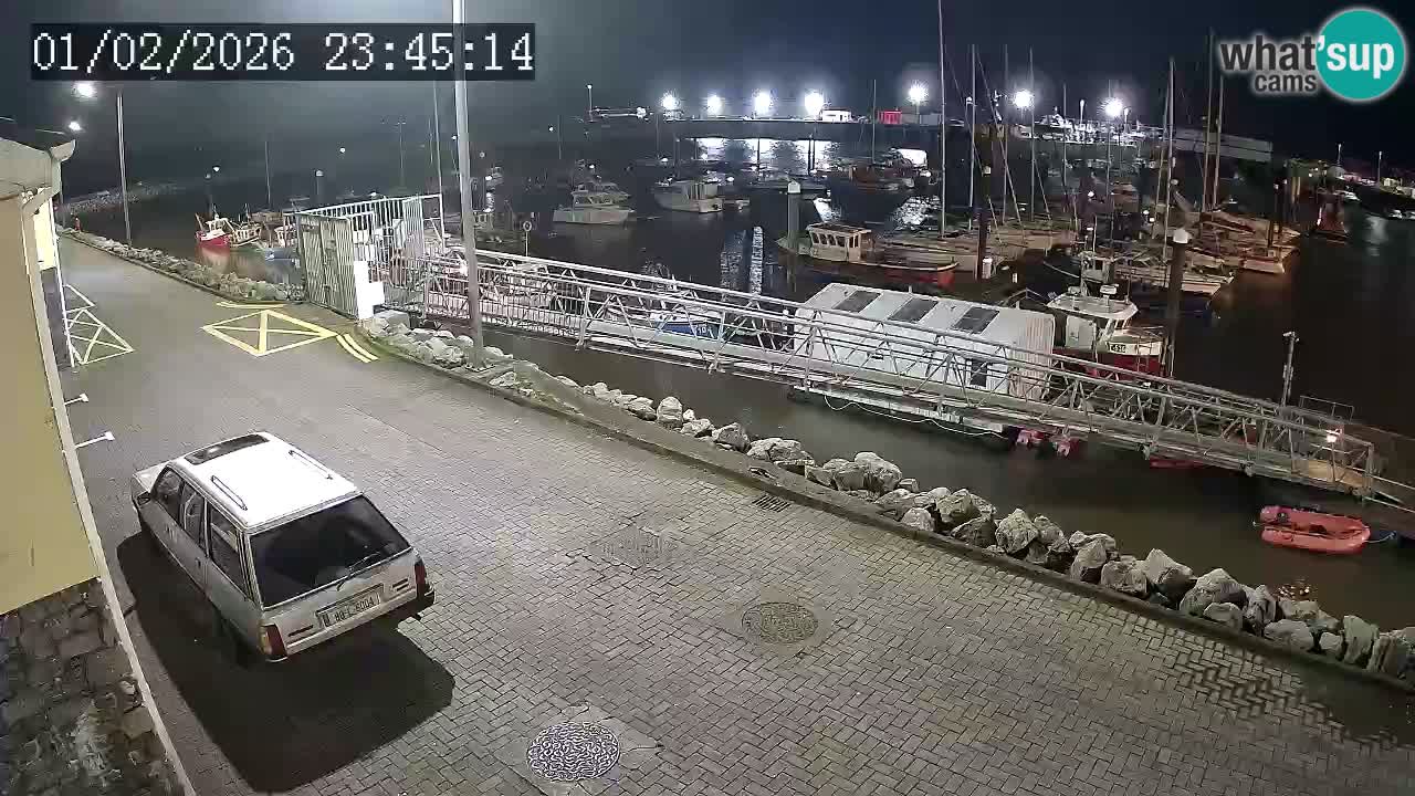 Fenit Marina spletna kamera