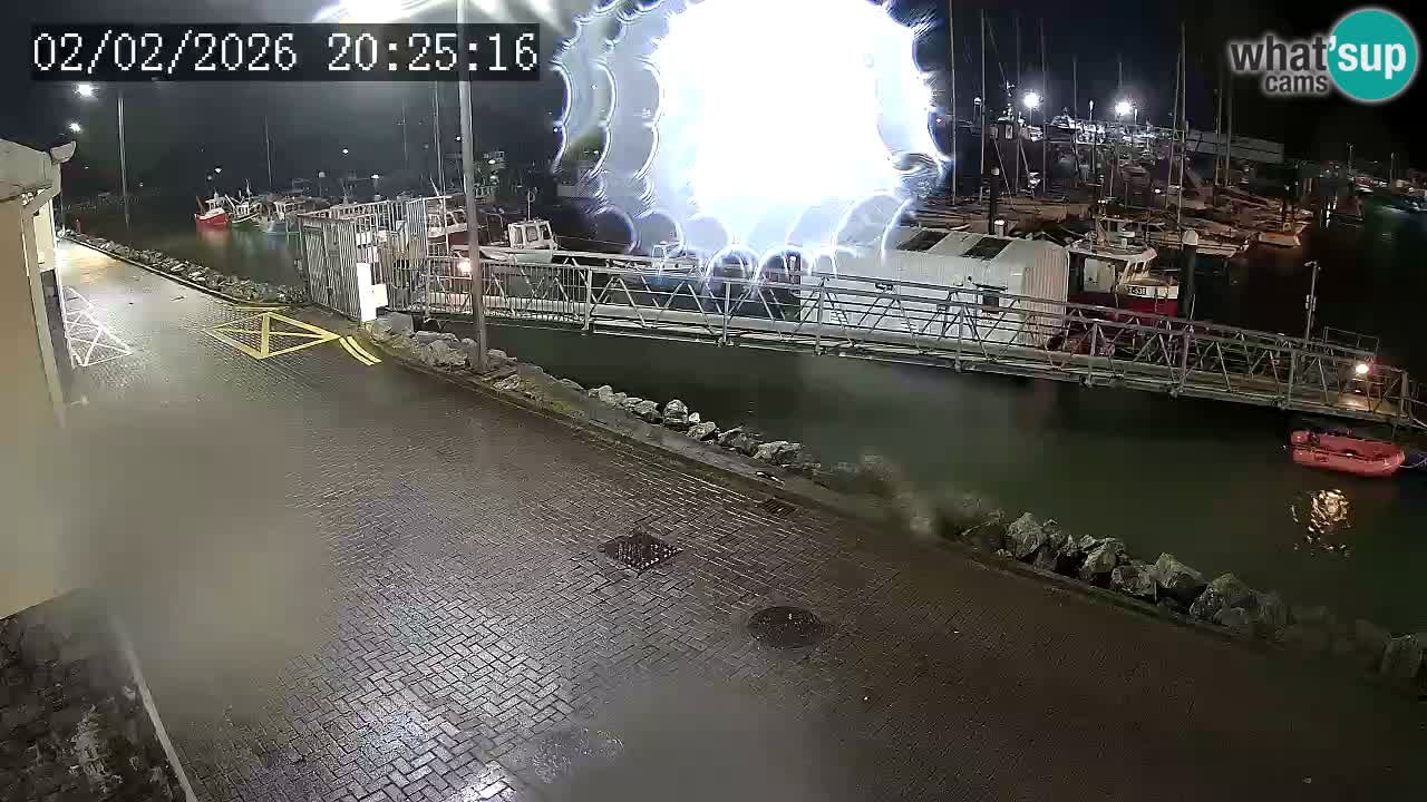 Fenit Marina spletna kamera