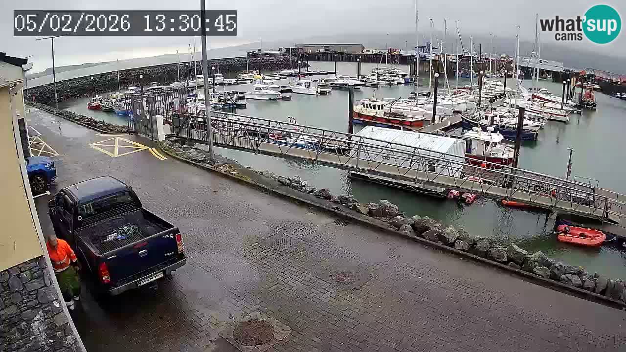 Fenit Marina spletna kamera
