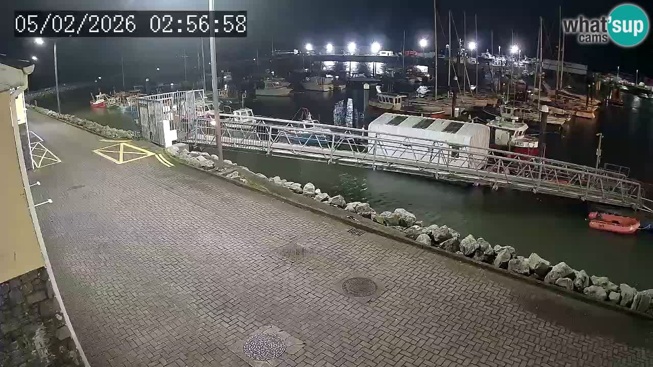 Fenit Marina spletna kamera