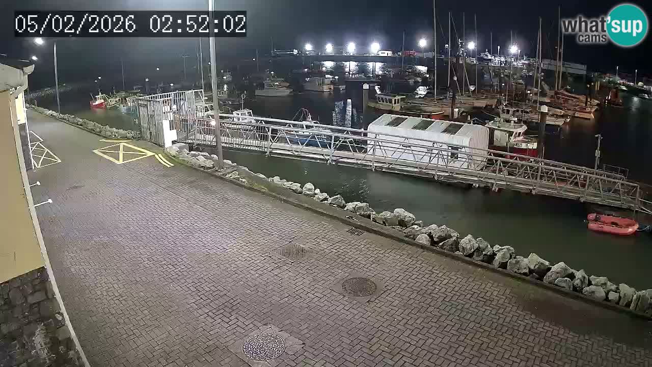 Fenit Marina web kamera