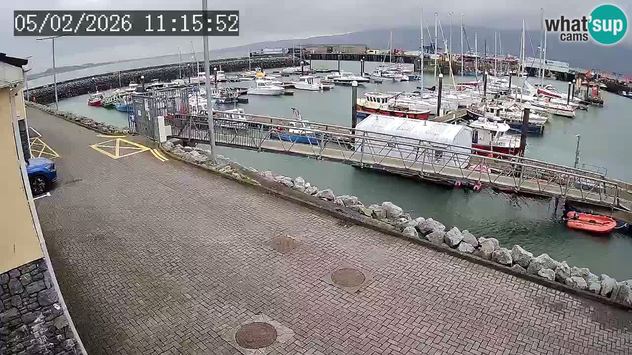 Fenit Marina livecam