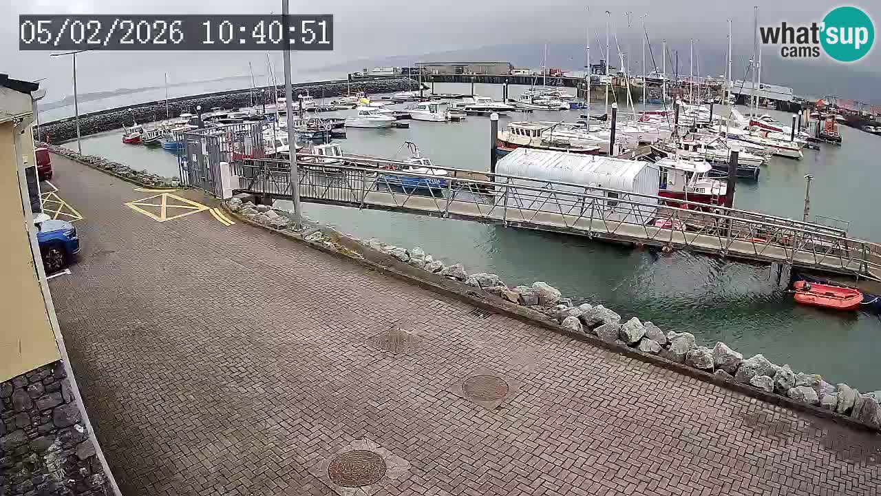 Fenit Marina webcam