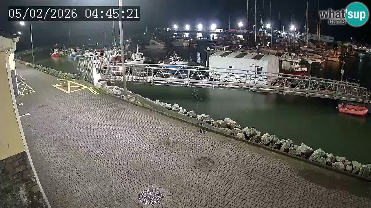 Fenit Marina live webcam