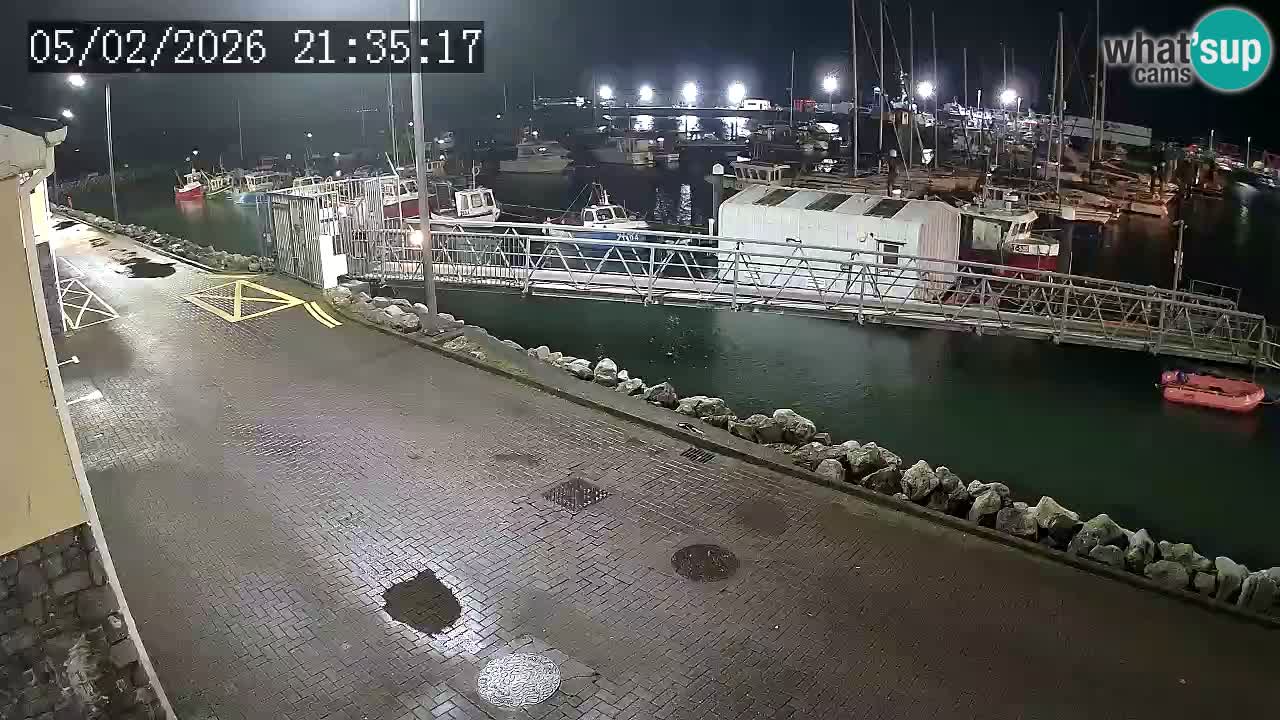 Fenit Marina webcam