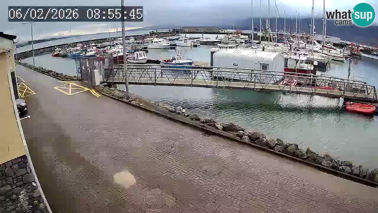 Fenit Marina livecam